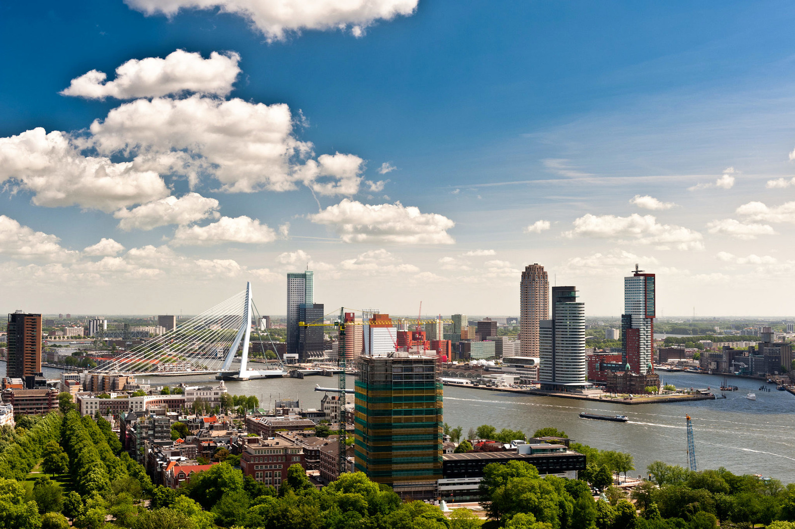 Straatbeeld met moderne bebouwing in Rotterdam