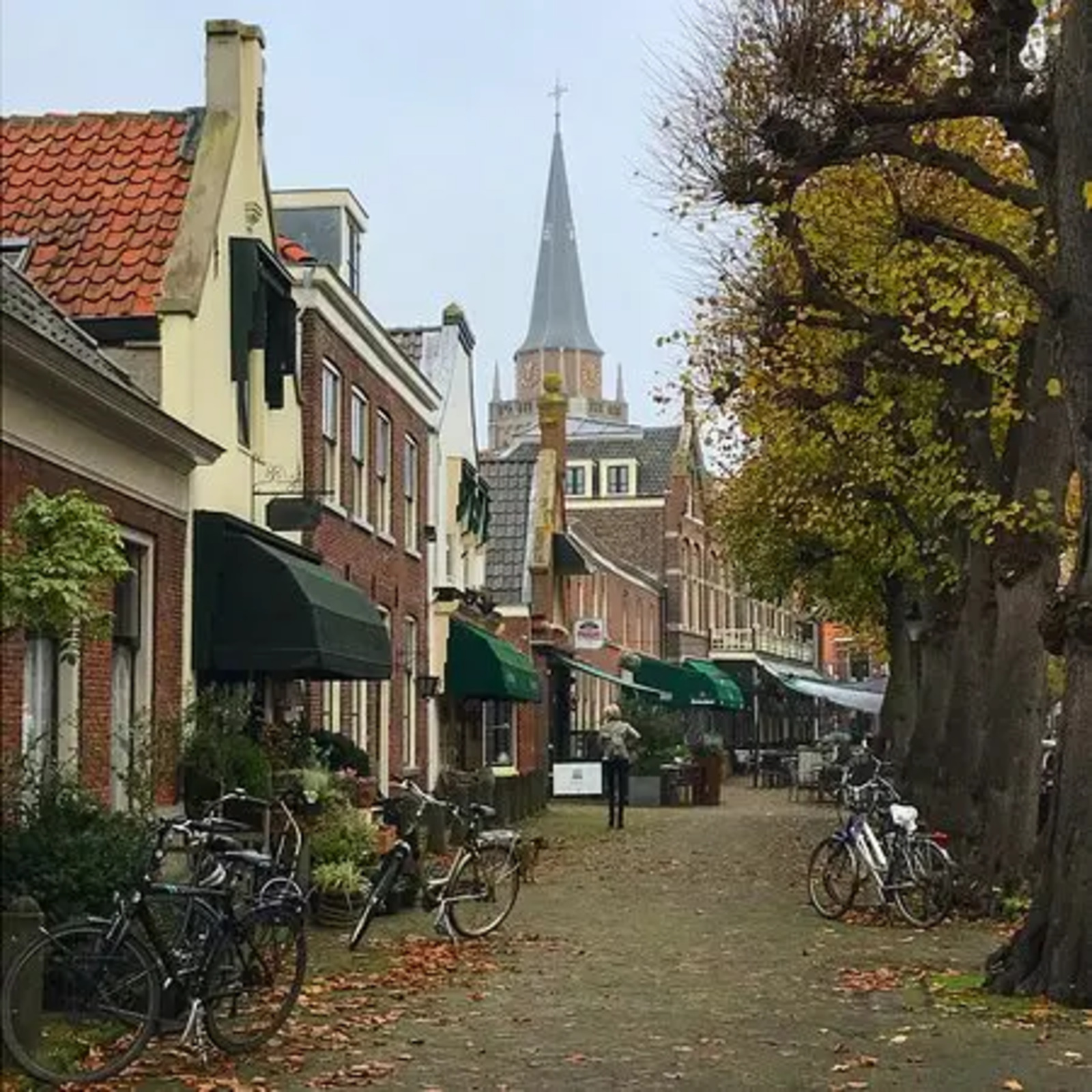 Groen straatbeeld met bebouwing in Voorschoten